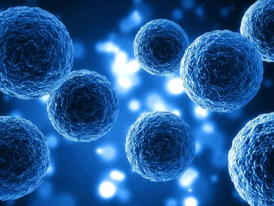 Nobel de Medicina 2025: el hallazgo que revoluciona la inmunología y abre nuevas vías terapéuticas