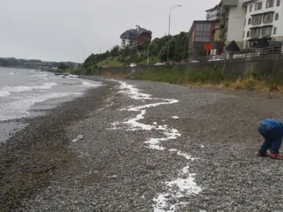 Nuevo episodio de contaminación del Lago Llanquihue: Miles de bolitas de plumavit cubren playa centro