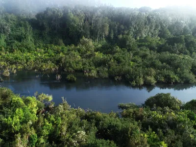 [OPINIÓN] "Constitución y Medio Ambiente" Por Raffaele Di Biase, Fundación Legado Chile