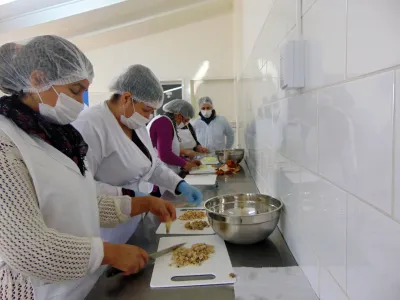 Participación laboral femenina es menor al promedio nacional en la Región de Los Lagos