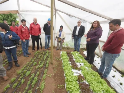 Pequeños agricultores buscan diferenciarse a través de la agrosustentabilidad