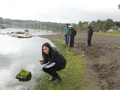 Presencia de Algas en bahía de Frutillar motivó seguimiento de autoridades