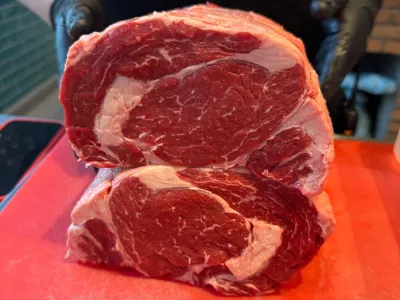 Publican paper sobre ácidos grasos presentes en carne bovina producida a pastoreo utilizando tecnología NIRS