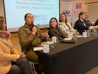 Puerto Varas crea programa municipal pionero para prevenir y enfrentar la violencia intrafamiliar