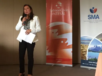 Puerto Varas: SMA convocó a empresas salmoneras en taller de asistencia al cumplimiento ambiental