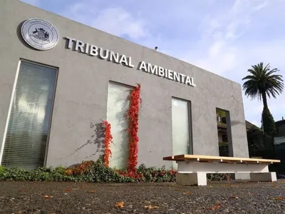 Rechazan demanda ambiental por vertimiento de salmones muertos en Chiloé