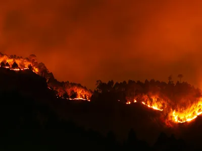 Recomendaciones sobre qué hacer y cómo prevenir los incendios forestales