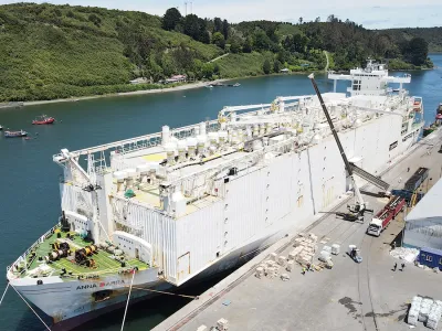 Rumbo a China: Desde Puerto Montt despachan el mayor embarque de ganado vivo  