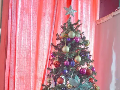 Saesa entrega recomendaciones para tener unas fiestas de fin de año seguras