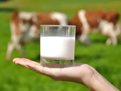 SAGO A.G. “Llegó el momento de decirle claramente la verdad al consumidor de carne y leche”