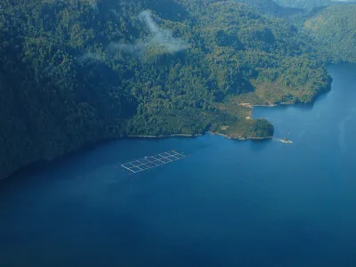 Salvemos la Patagonia: lanzan campaña para la salida de la industria salmonera de parques nacionales y reservas nacionales