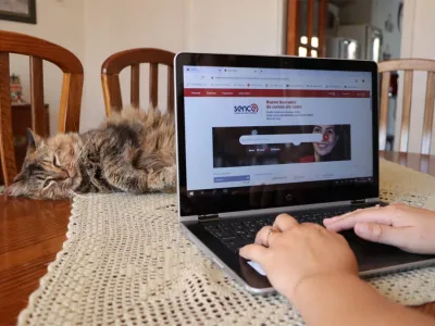 Sence ofrece cursos online gratuitos y accesibles a la comunidad