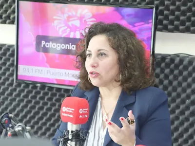Seremi Schettino sale a explicar en qué consiste el recientemente anunciado bono de $100 mil pesos que entregará el Gobierno