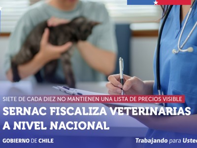 SERNAC realiza fiscalización a veterinarias: siete de cada diez no mantienen una lista de precios visible