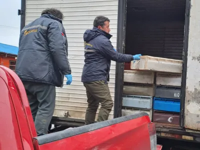 Sernapesca incautó más de 4 toneladas de merluza austral ilegal