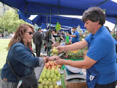 Solo el 15% de los chilenos come la cantidad recomendada de frutas y verduras