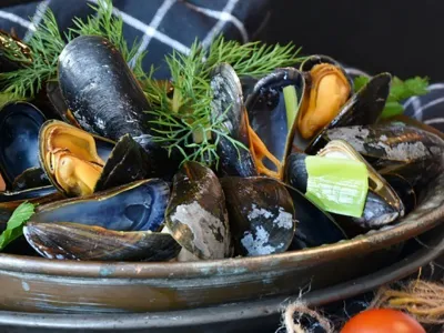 Todos a comer pescados y mariscos en la Feria Gastronómica “Más Mar” este sábado y domingo en Club de Rodeo de Puerto Varas