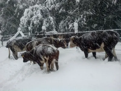 Trasladan Alimentos a familias de Sectores Cordilleranos de Cochamó