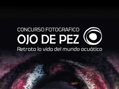 Últimos días para participar en el Concurso Fotográfico Ojo de Pez 2019
