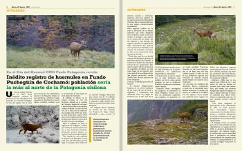 Página 4 | El Heraldo Austral